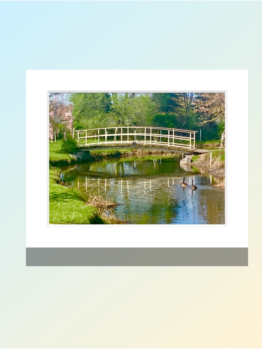 Calming Park Bridge Photography Print in White Mat